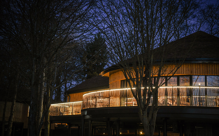 external view of the treehouse accommodation at Ramside Hall Hotel during nighttime.